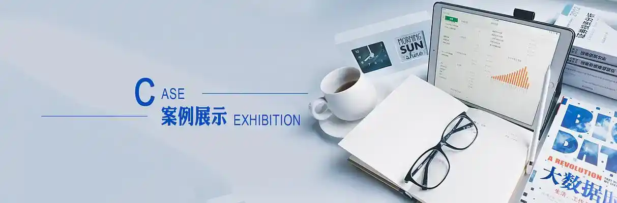 西工区软件开发